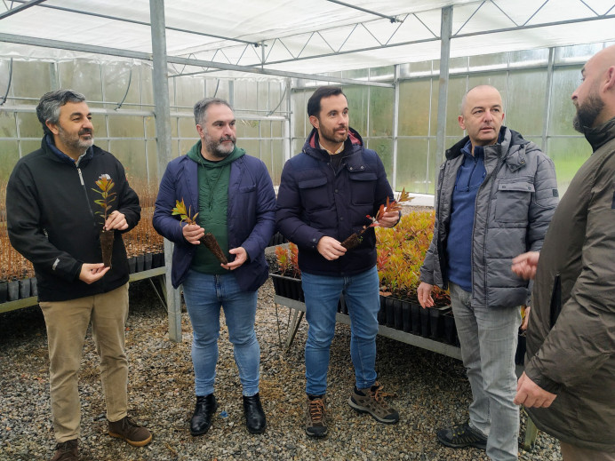 Medio Rural pone en marcha un programa para fomentar la cultura forestal con la entrega de 20.000 árboles autóctonos - Asturias