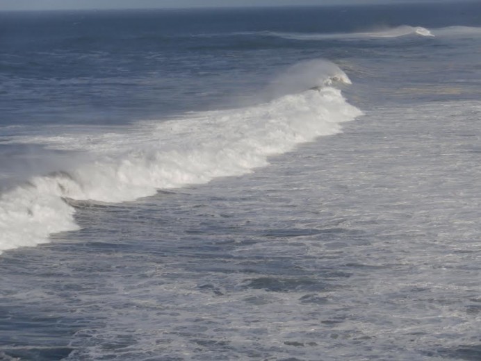 El Principado persiste en apoyar la cría de mejillones a pesar de los problemas ambientales - Ecología y Medioambiente