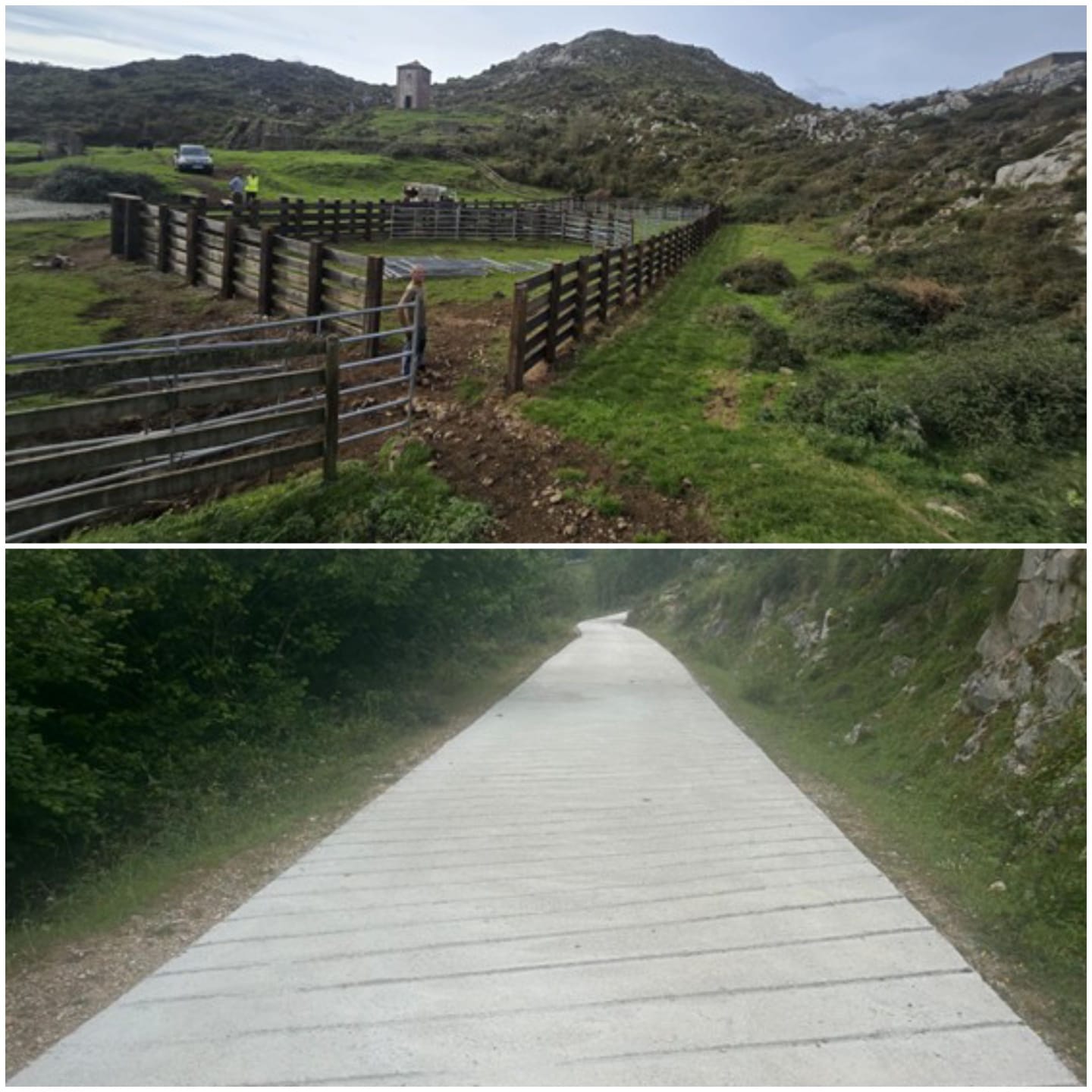 Peñamellera Baja finaliza un plan de mejoras cercano al medio millón de euros en infraestructuras y sector primario - Concejos Peñamellera Alta y Baja