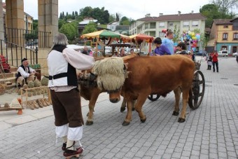 Mercau Astur Nava 2014 - Concejo de Nava