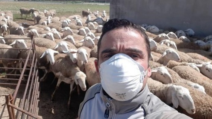 Mascarillas para el saneamiento ganadero en Llanes - Concejo de Llanes