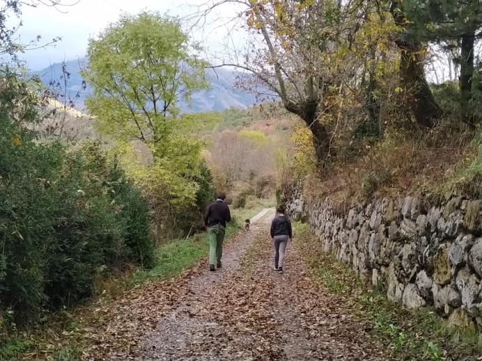 30 pueblos asturianos promueven la prescripción de naturaleza para la salud mental - Asturias