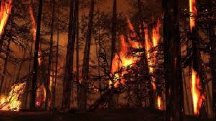 Equo Asturias: Hay que acotar los montes quemados - Política