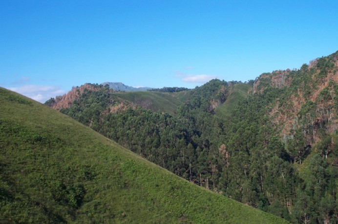 Programa actuaciones en montes de Llanes - Concejo de Llanes