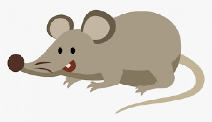 El "Ratoncito Pérez" cuenta con permiso de circulación - Salud, belleza y bienestar