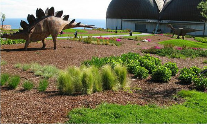 Semana de la ciencia online con el MUJA - Concejo de Colunga