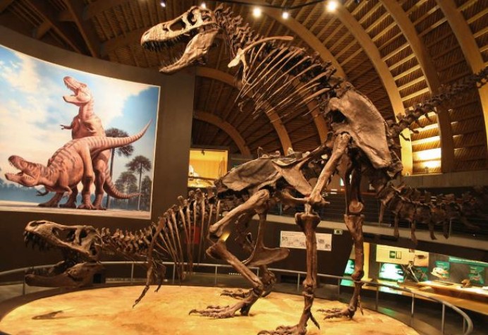 Actividades en el MUJA y Tito Bustillo para este puente - Oriente de Asturias