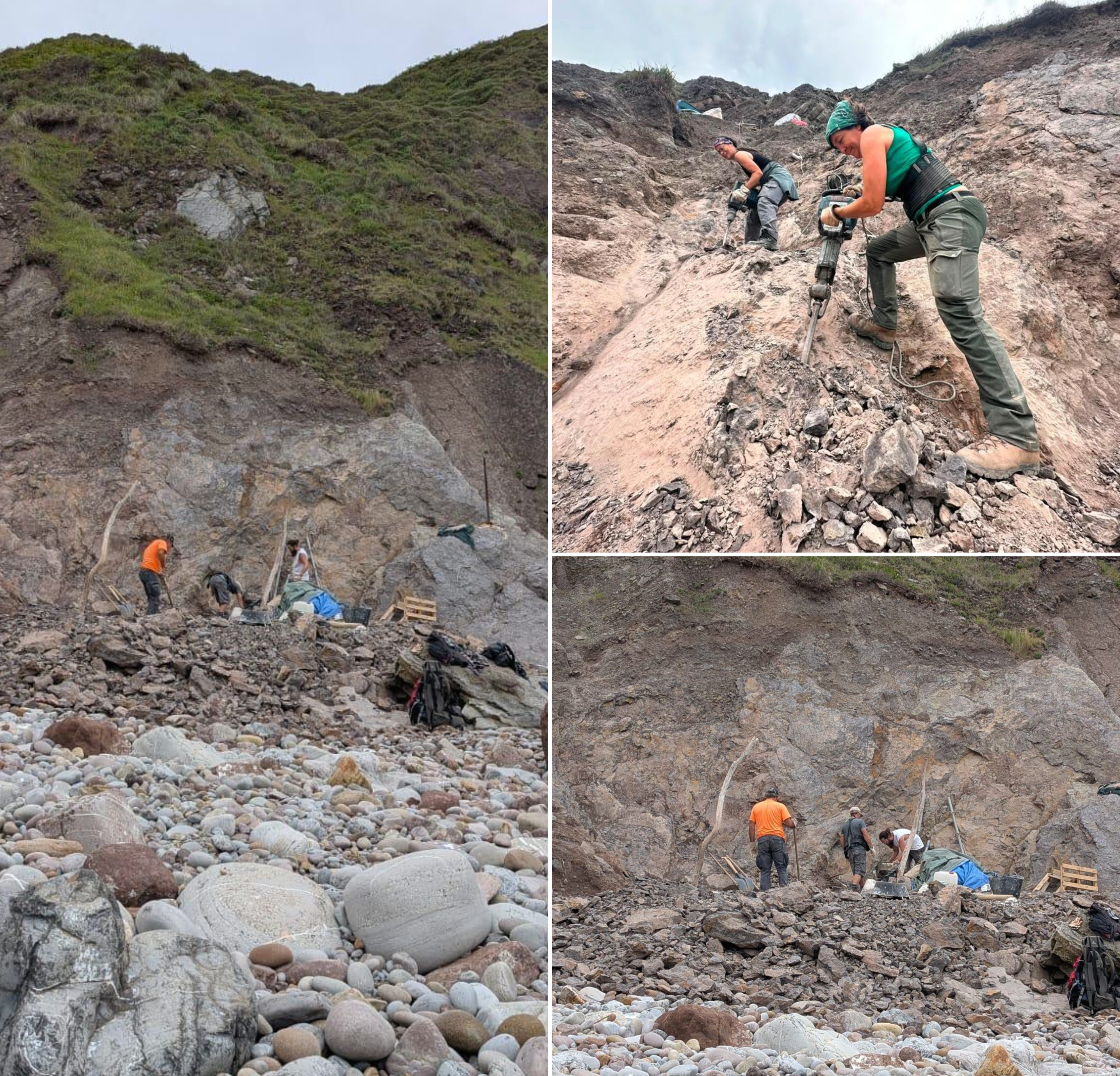 El MUJA recupera nuevos fósiles del dinosaurio de Ribadesella con ayuda de un helicóptero del SEPA - Concejo de Colunga