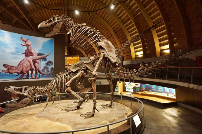Los museos asturianos recibieron a 588.815 visitantes el año pasado - Asturias