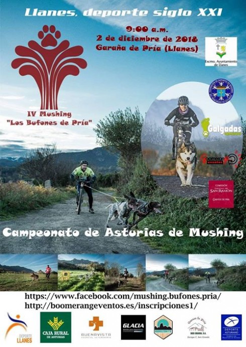 IV Mushing en Los Bufones de Pría - Concejo de Llanes