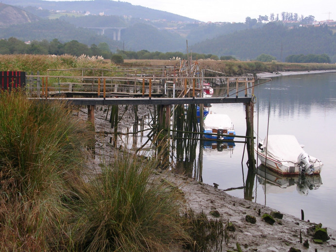 El Gobierno cede ante los pescadores, vuelve amenazar el futuro de los ríos y sus pocos peces - Ecología y Medioambiente