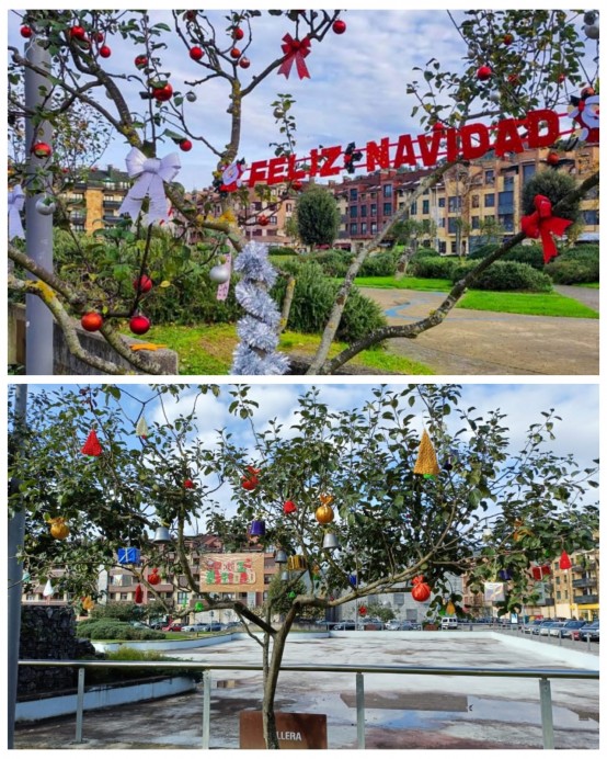 El Ayuntamiento de Villaviciosa invita a todas las parroquias del concejo a decorar los pumares del Pelambre en Navidad - Concejo de Villaviciosa