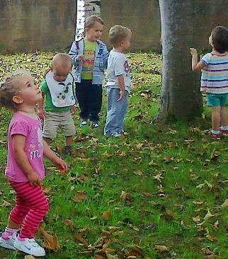 Colunga-Principado de Asturias: Plan de Ordenación de Escuelas del Primer Ciclo de Educación Infantil. - Concejo de Colunga