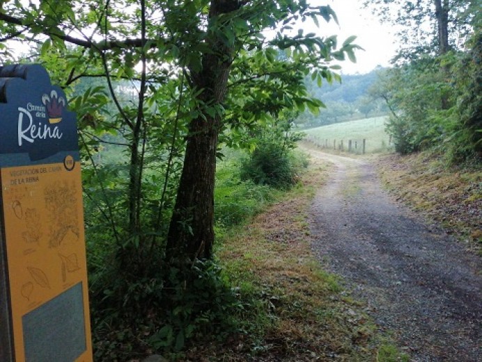 Puesta en marcha de Rutas de senderismo y espacios naturales en Parres - Concejo de Parres