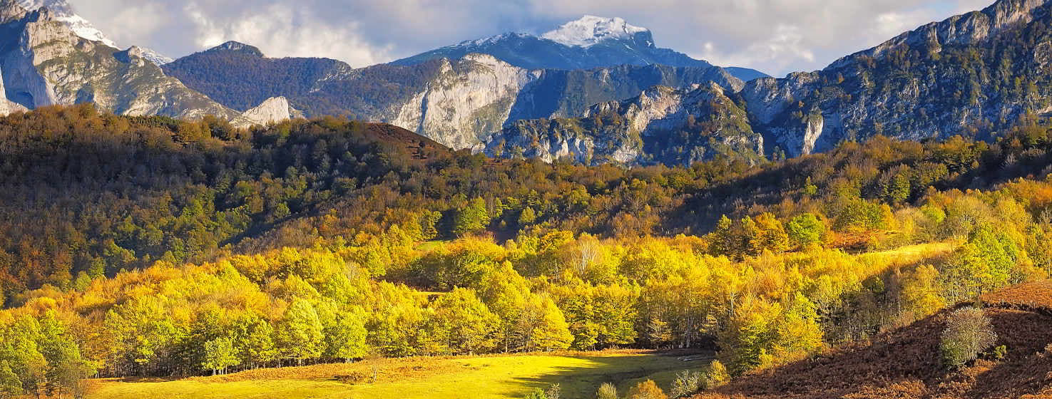 Asturias renueva la gestión del Parque Natural de Ponga con más participación de colectivos y vecinos - Concejo de Ponga
