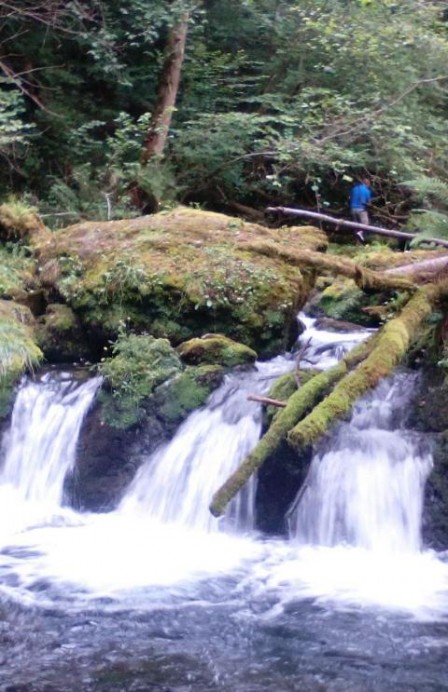 Ruta a la Fuente de Obaya (Colunga) - Turismo