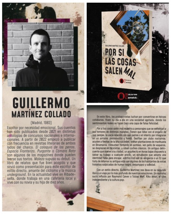 Presentación del libro ‘Por si las cosas salen mal’ de Guillermo Martínez Collado en Colunga - Concejo de Colunga