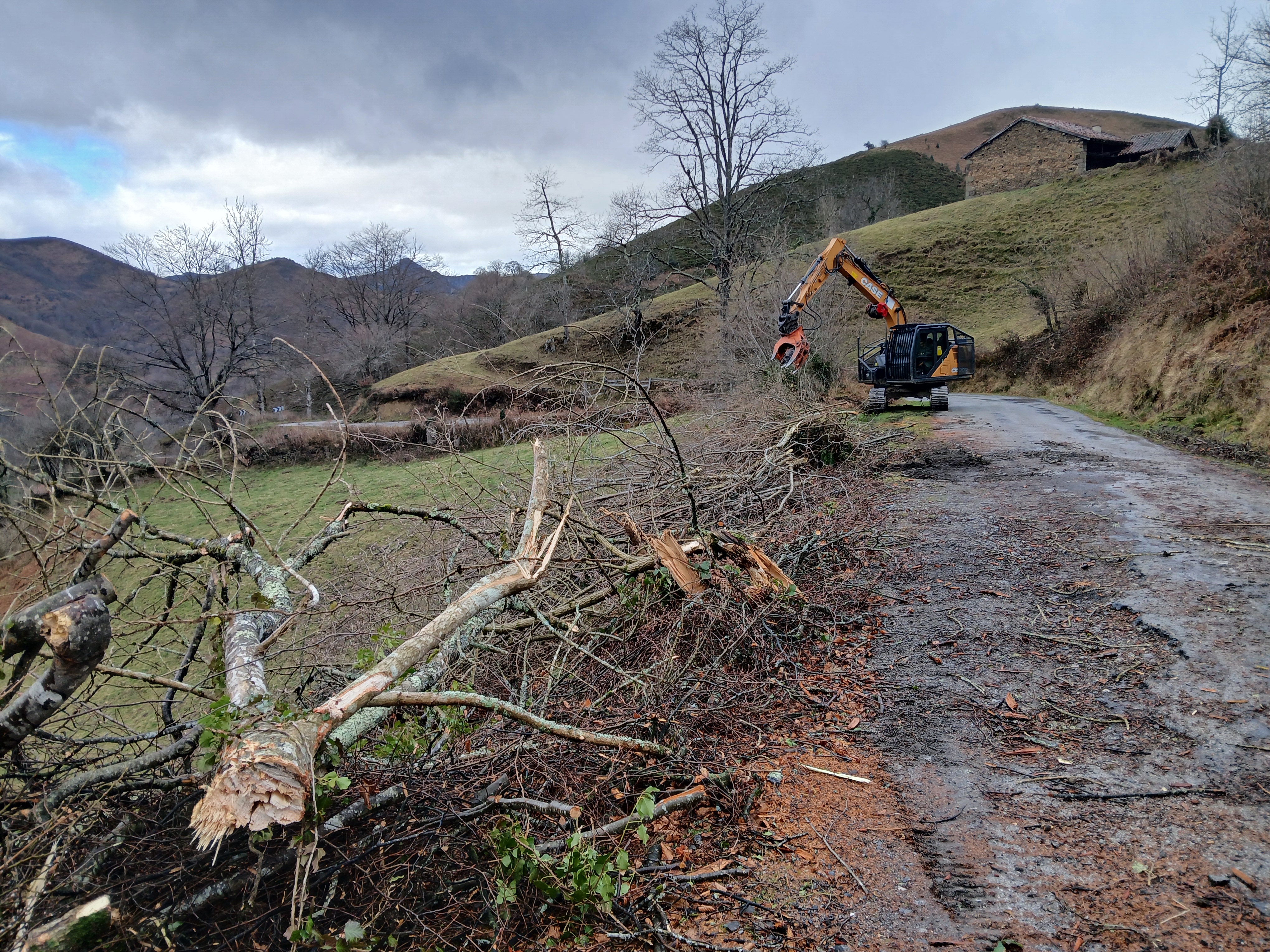 Movilidad inicia la mejora integral de la AS-254 entre Bueres y La Marea con 18,5 millones de inversión - Concejo de Nava