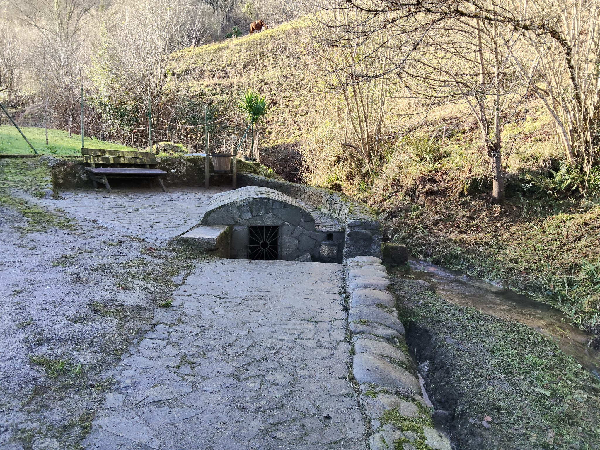 Llanes continúa con los planes municipales de limpieza y desbroce en varios puntos del concejo - Concejo de Llanes