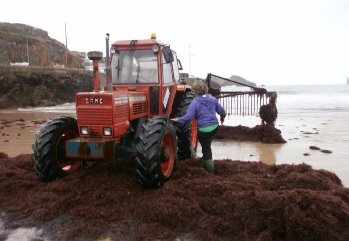 Ecologias de Asturias: Solicitamos al Gobierno de Asturias que paralice el arranque del ocle - Ecología y Medioambiente