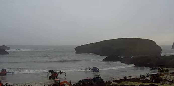 Recogida de ocle (algas) en la Playa de Barro - Concejo de Llanes