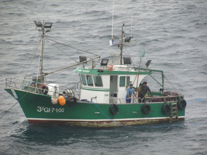 Ecologistas de Asturias: El Principado sigue cargandose las praderas de algas del mar permitiendo el arranque del ocle - Ecología y Medioambiente