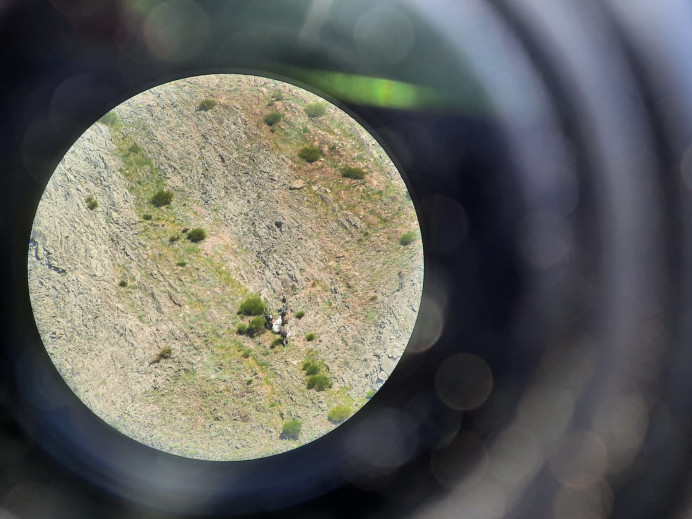 El Principado recupera los restos de un oso pardo en el Parque Natural de las Fuentes del Narcea, Degaña e Ibias - Ecología y Medioambiente