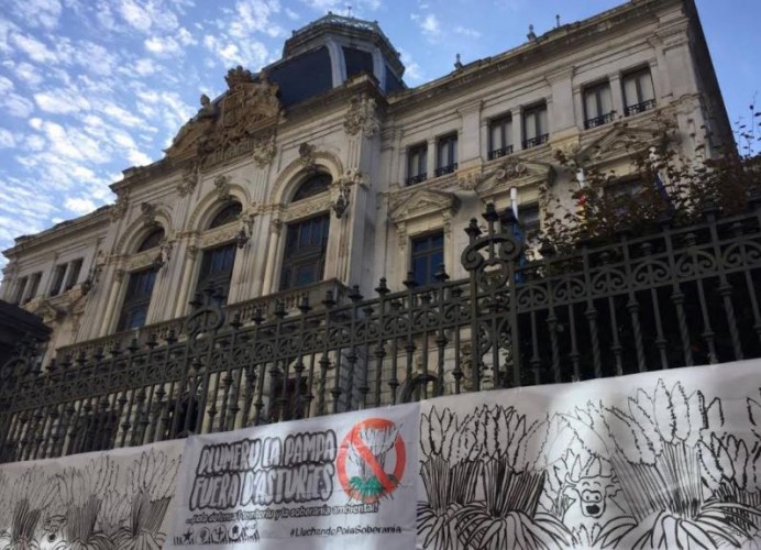 El plumeru La Pampa invadió la Xunta Xeneral mentanto’l Debate d’Orientación Política d’Asturies. - Ecología y Medioambiente