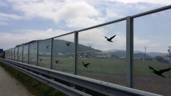 Muerte de aves en las pantallas antisonido de la autovía del Cantábrico - Ecología y Medioambiente
