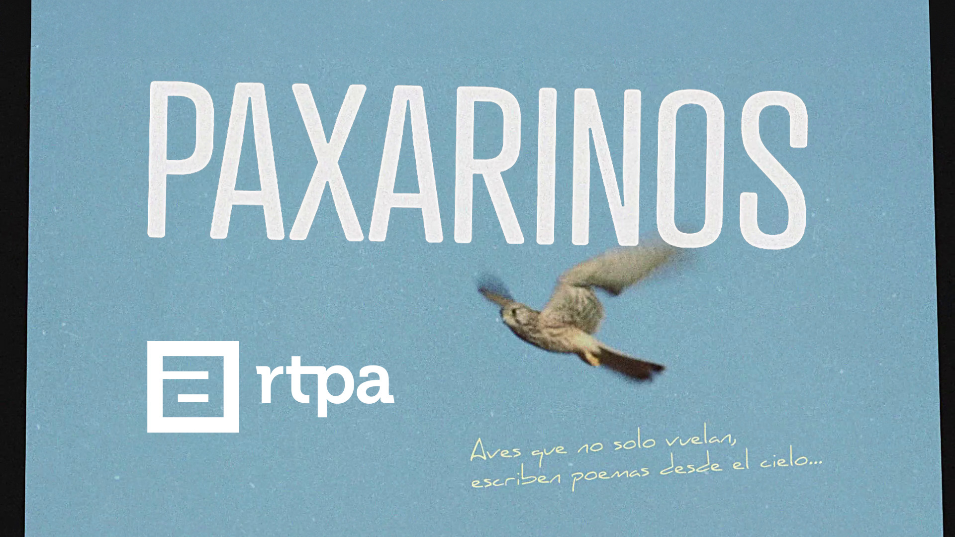 TPA estrena "Paxarinos", una serie para descubrir Asturias a través de sus aves - Sociedad y Cultura