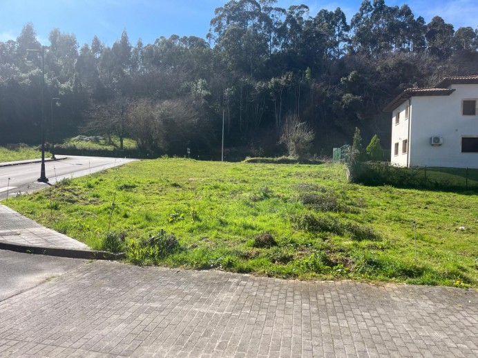 Los socialistas llaniscos exigen al Ayuntamiento la cesión de suelo público en Barru para viviendas de alquiler asequible - Concejo de Llanes