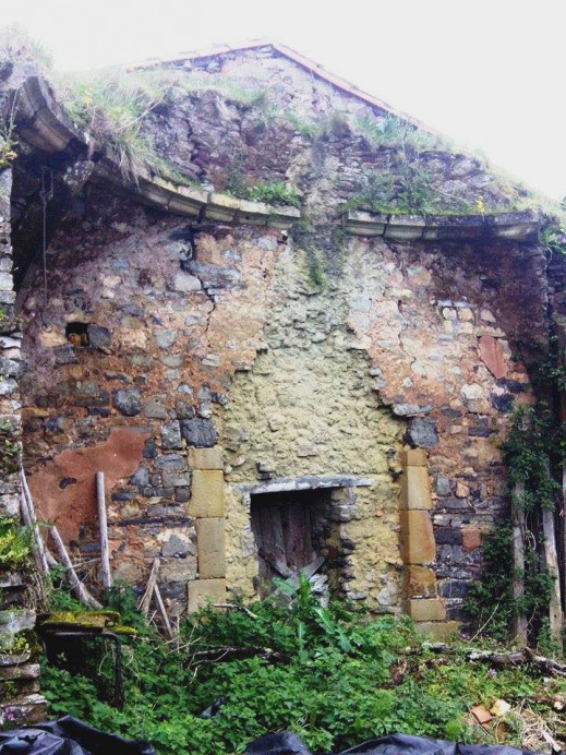 Omar Pardo: El silencio de los corderos - Concejo de Colunga