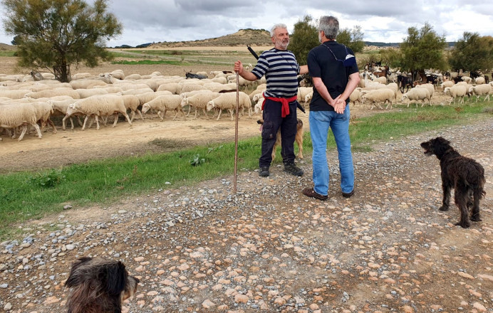 Plan Municipal Desbroce: caminos Porrúa y Purón - Concejo de Llanes