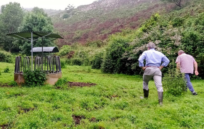 Llanes, plan municipal de desbroce de montes para pastos - Concejo de Llanes
