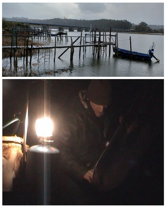 La Coordinadora Ecoloxista d’Asturies alerta: el Principado pone en riesgo la supervivencia de la anguila europea al permitir la pesca de angulas en los ríos asturianos - Ecología y Medioambiente