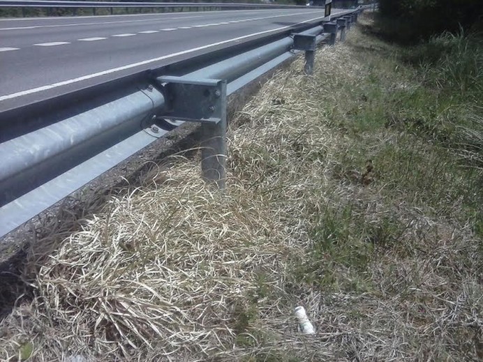 El coladero de las fumigaciones en las carreteras con el peligroso glifosato - Ecología y Medioambiente
