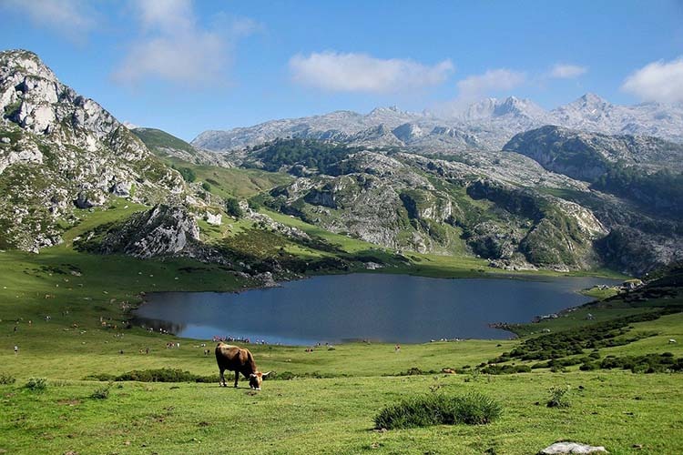 El Principado destina 248.000 euros a proyectos en los concejos de los Picos de Europa - Oriente de Asturias