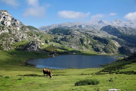 El Principado destina 248.000 euros a proyectos en los concejos de los Picos de Europa - Oriente de Asturias
