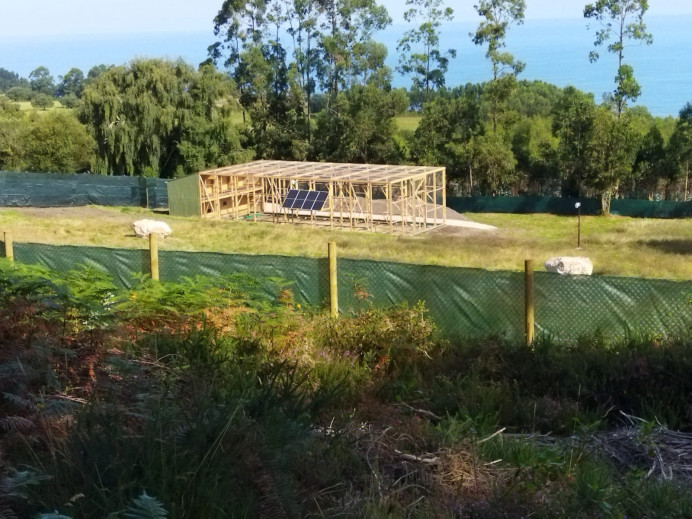 Ecologistas de Asturias: Siguen empeñados en soltar pigargos sin tramites ambientales - Ecología y Medioambiente