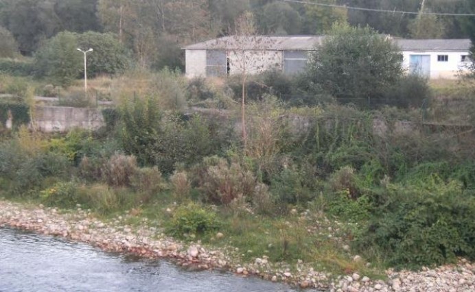Cancelan el disparatado proyecto de la cría de esturiones en el río Piloña - Ecología y Medioambiente
