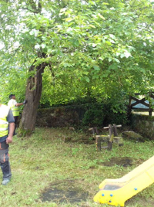 Comienzan las obras de rehabilitación del parque Infantil y de Mayores de Libardón - Concejo de Colunga