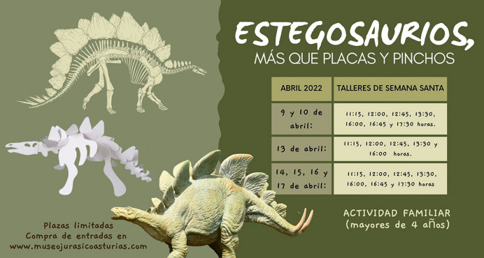 Placas y pinchos en el MUJA - Concejo de Colunga