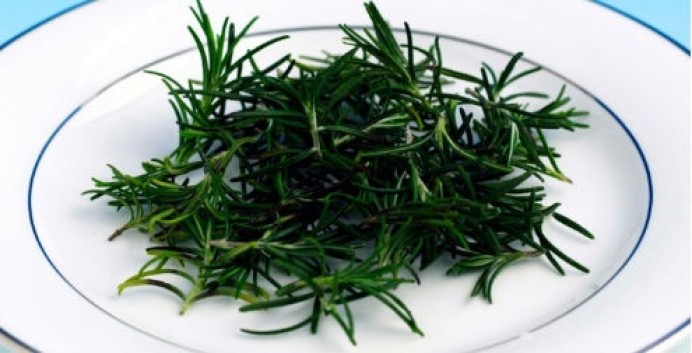 Taller Plantas que curan a Plantas - Concejo de Piloña