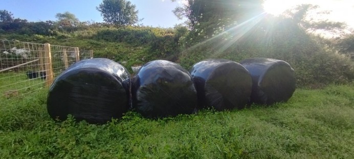 El Ayuntamiento de Llanes adjudica el servicio de recogida selectiva de plásticos ganaderos para 2024 y 2025 - Concejo de Llanes