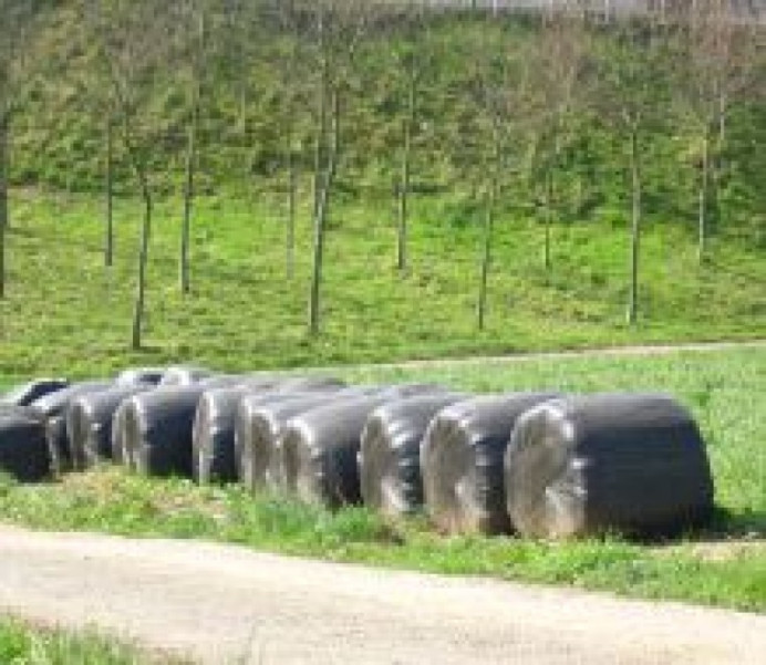 Recogida de plásticos ganaderos - Concejo de Llanes
