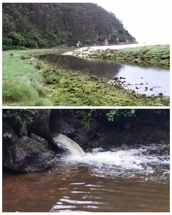 La Playa de La Franca continúa presentando mala calidad de agua, denuncia la Coordinadora Ecoloxista d’Asturies - Ecología y Medioambiente