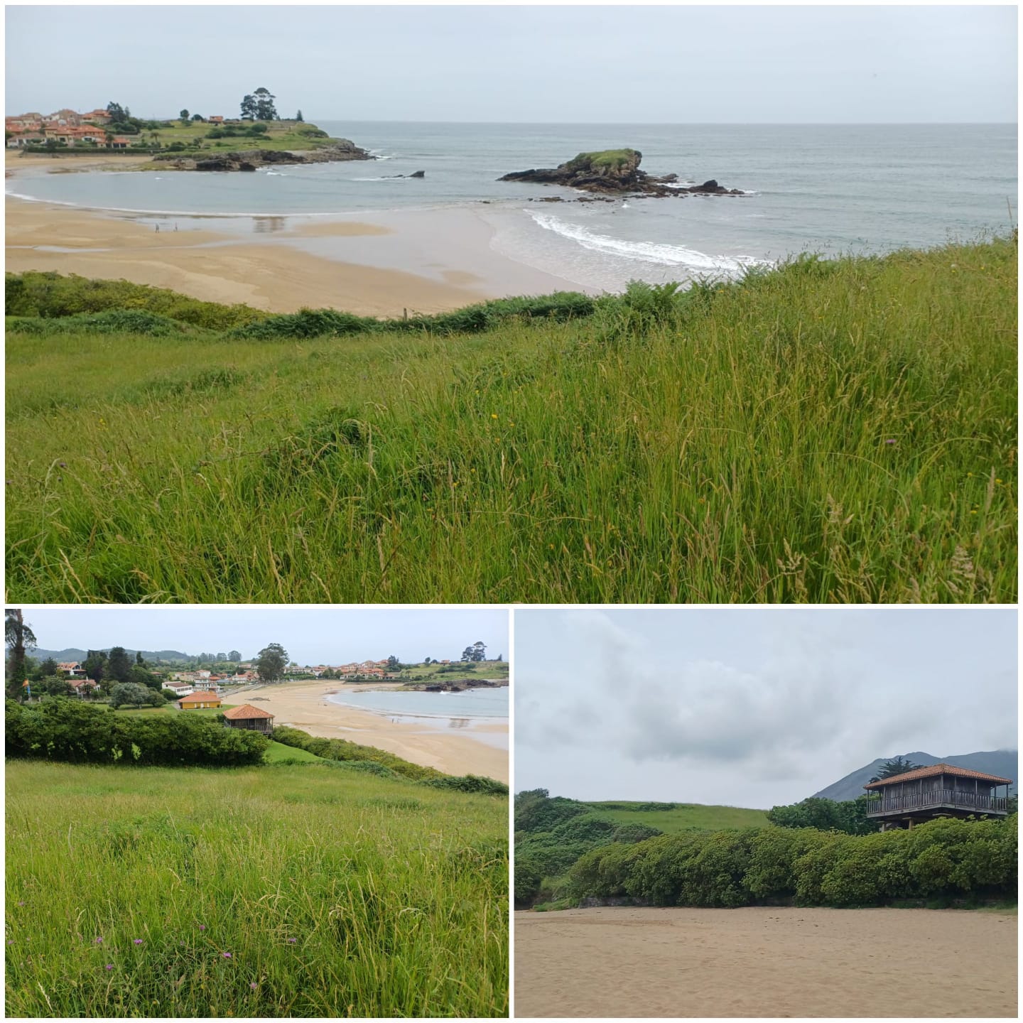 La Coordinadora Ecoloxista alerta del impacto de un proyecto de 28 chalets junto a la playa de La Isla, en Colunga - Ecología y Medioambiente