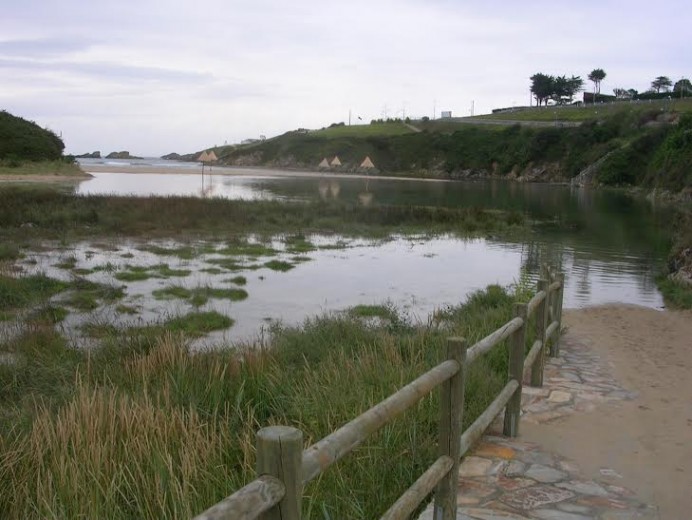 El coladero de las banderas azules en las playas asturianas - Ecología y Medioambiente
