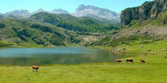 IU presentará una PNL para modificar el modelo de gestión del Parque Nacional de los Picos de Europa - Política