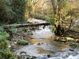 NUESTRAS VIDAS SON LOS RIOS... y todo eso (III) - Concejo de Colunga
